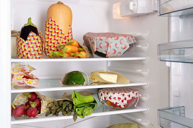 fridge picture